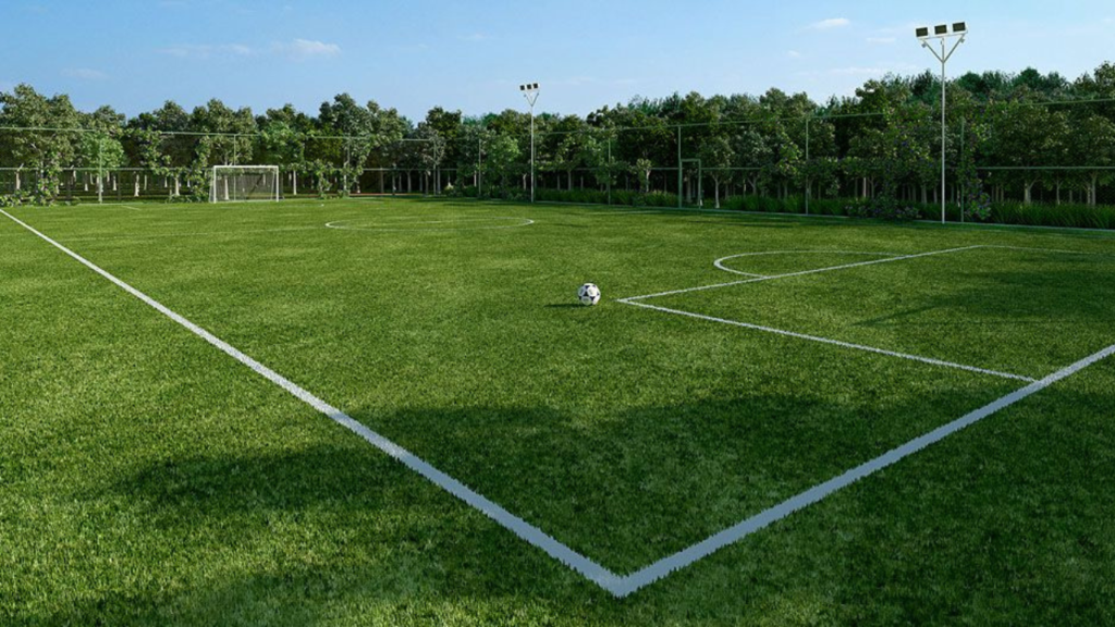 Qual o tamanho do campo de futebol? Entenda as dimensões oficiais e suas variações em diferentes estádios.